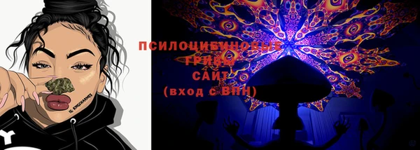 PSILOCYBIN Волоколамск